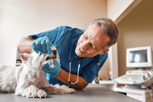 Best Emergency Tooth Extraction in Montague, CA